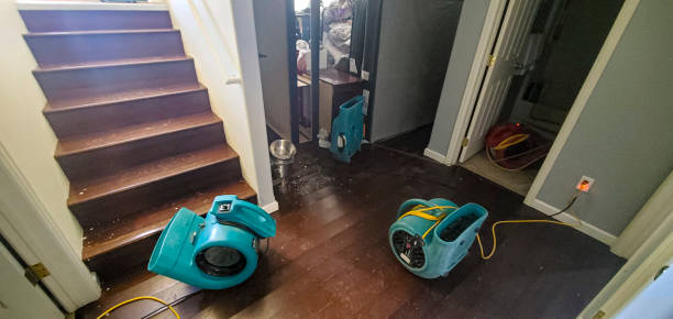 Best 24-hour water damage restoration  in Dequincy, LA