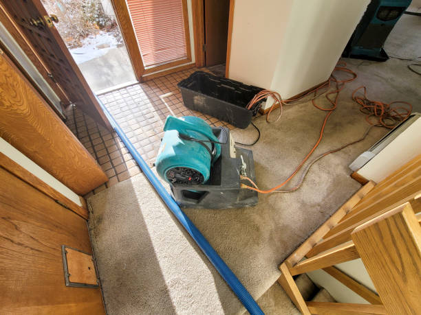 Best Ceiling water damage repair  in Dequincy, LA