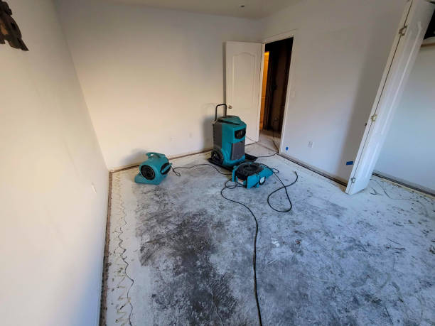 Best Water damage mitigation services  in Dequincy, LA