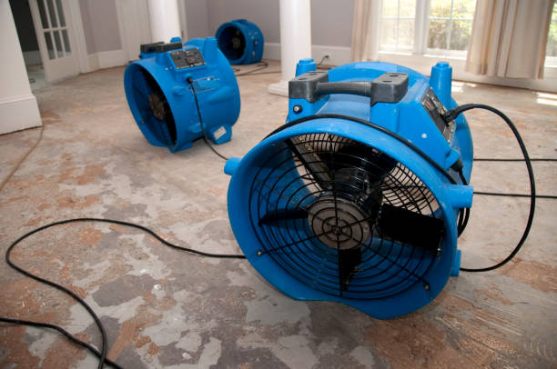 Best Flood restoration services  in Dequincy, LA