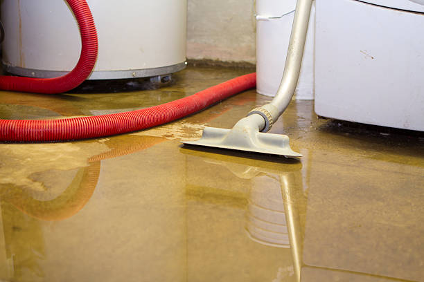 Best Emergency water damage restoration  in Dequincy, LA