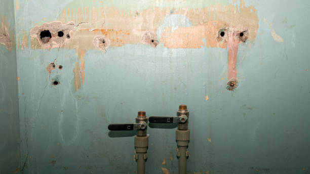 Best Water damage contractors near me  in Dequincy, LA