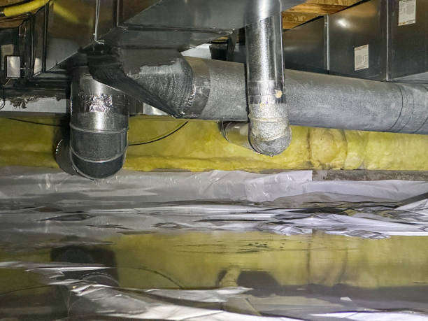 Best Ceiling water damage repair  in Dequincy, LA