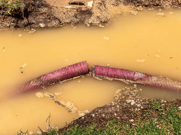Best Water damage restoration insurance claims  in Dequincy, LA