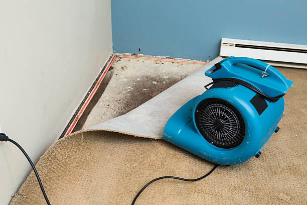 Professional Water damage restoration in LA